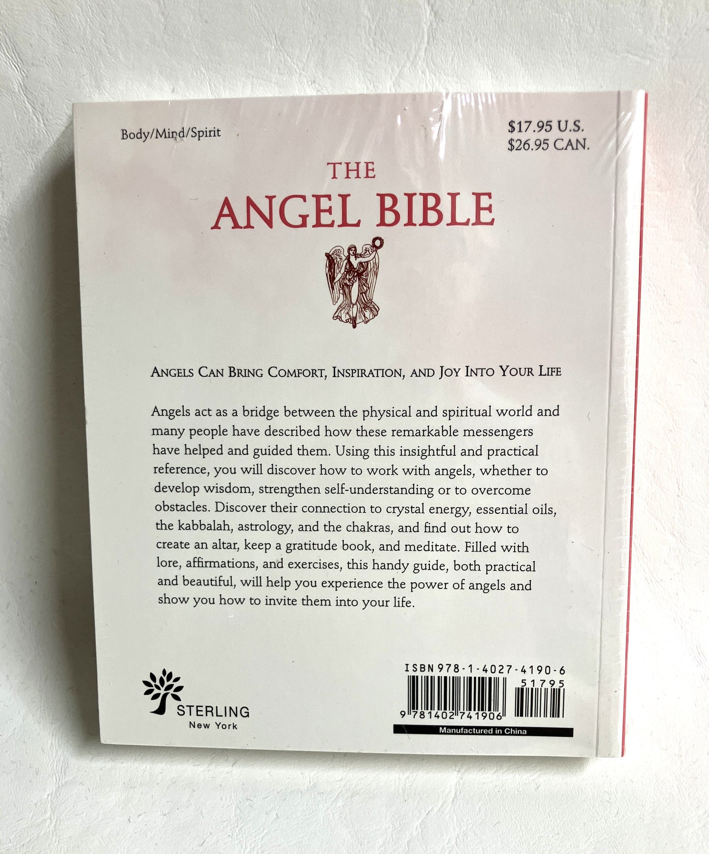 Back cover of 'The Angel Bible with informative text