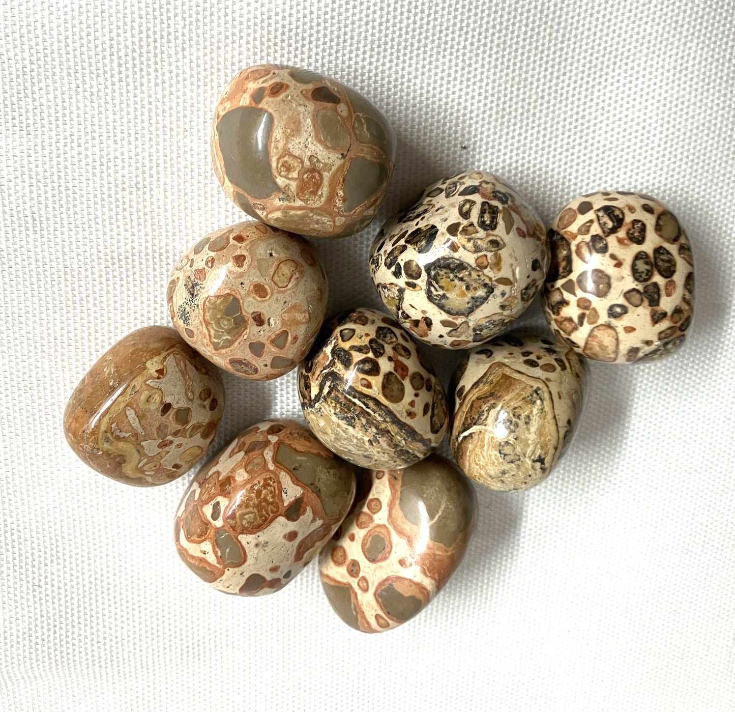 Back view of Leopardite Crystal on a white fabric background