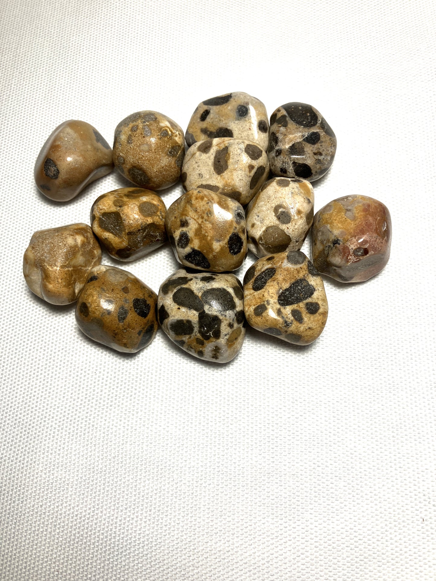 Group of Leopard Skin Jasper Crystals AKA Jaguar Stones on a light gray background