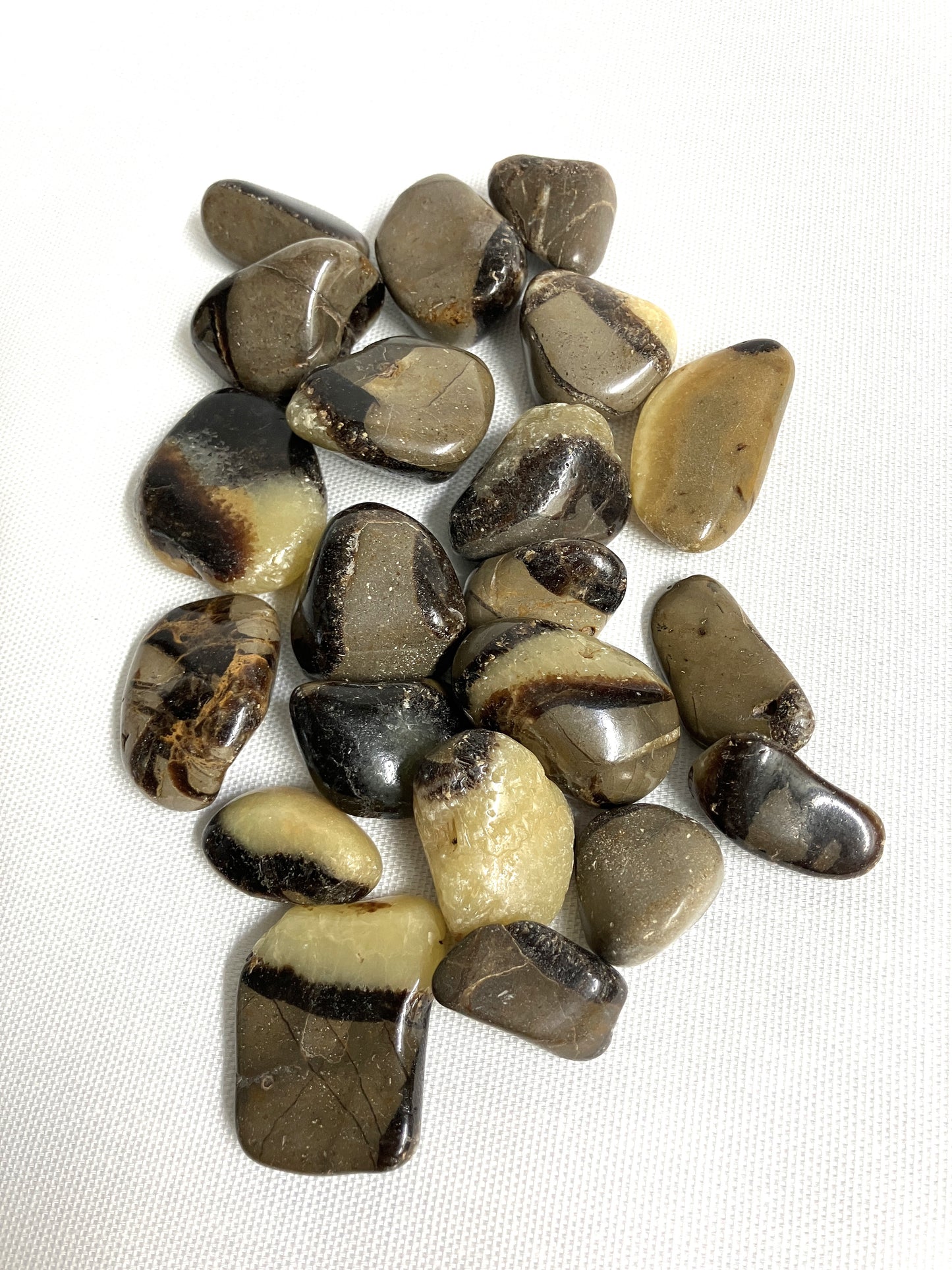 Tumbled Septarian Crystals aka Dragon Stones on a white background