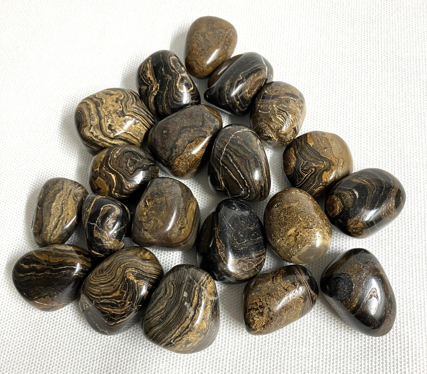 Collection of Stromatolite Crystal showing the figure of the stone on a white fabric background