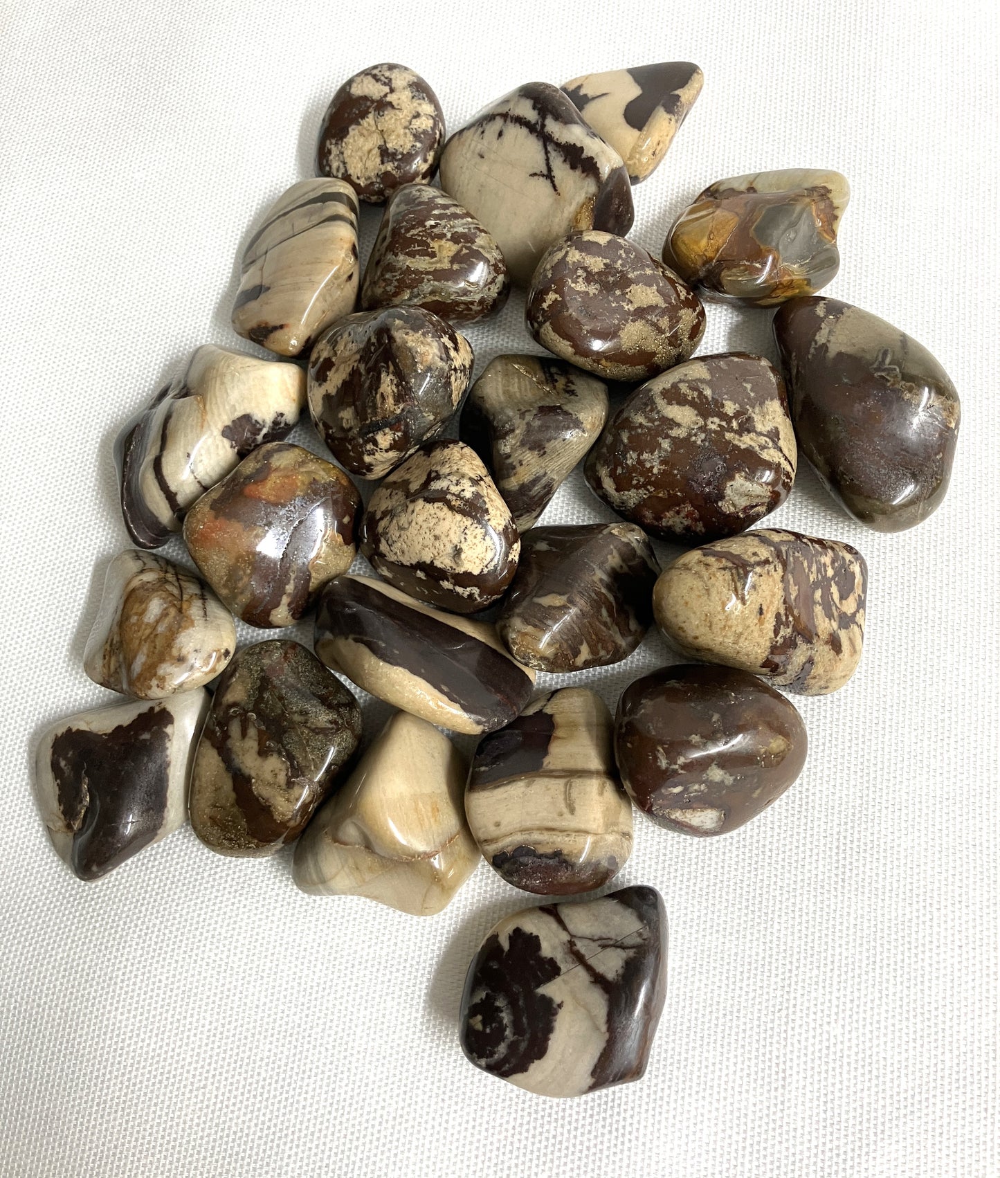 Back side of Nguni Jasper Crystals displaying variations of color and pattern on a white background