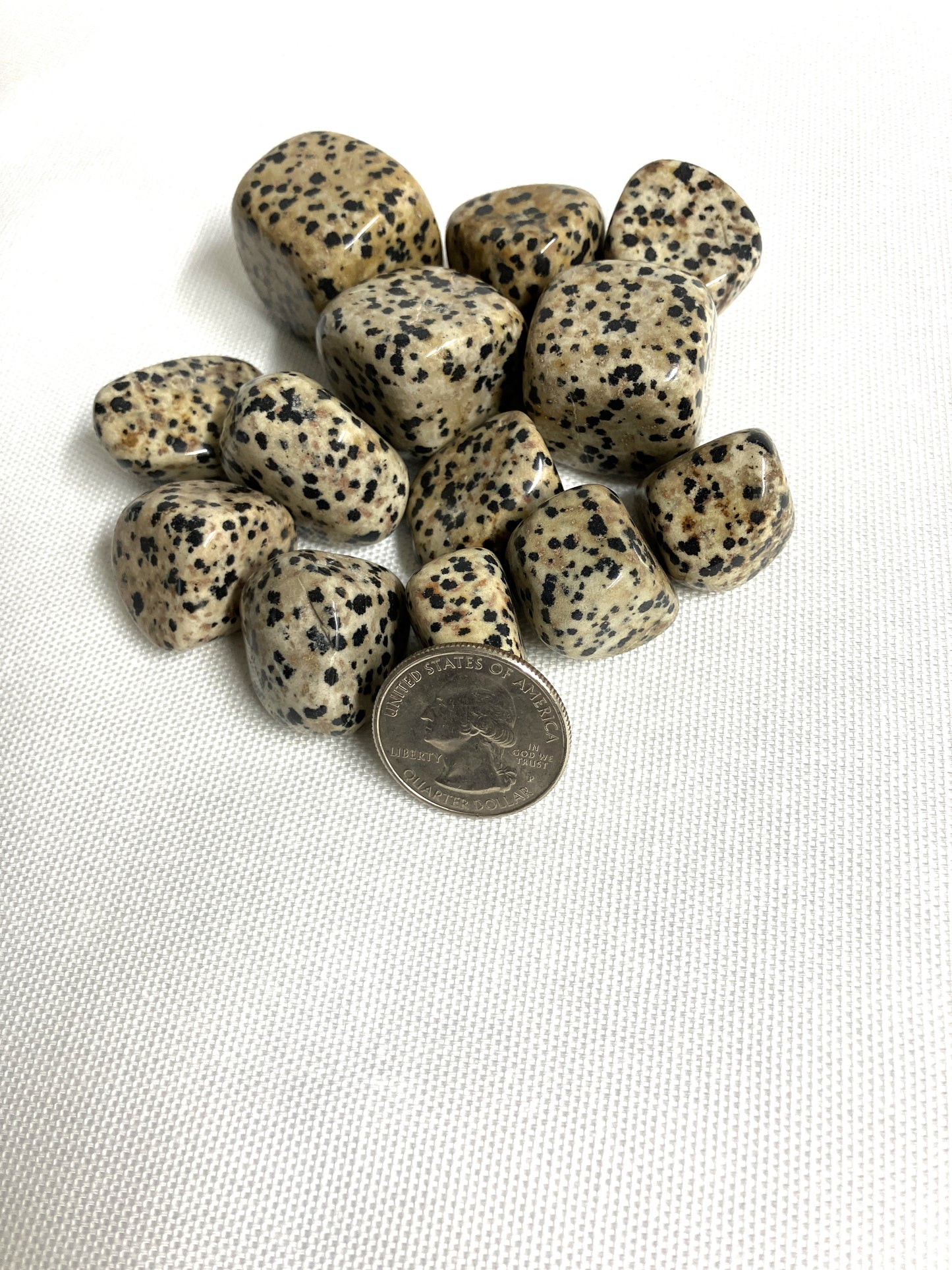 Another view of Dalmatian Jasper Crystals with a quarter for scale on a white background