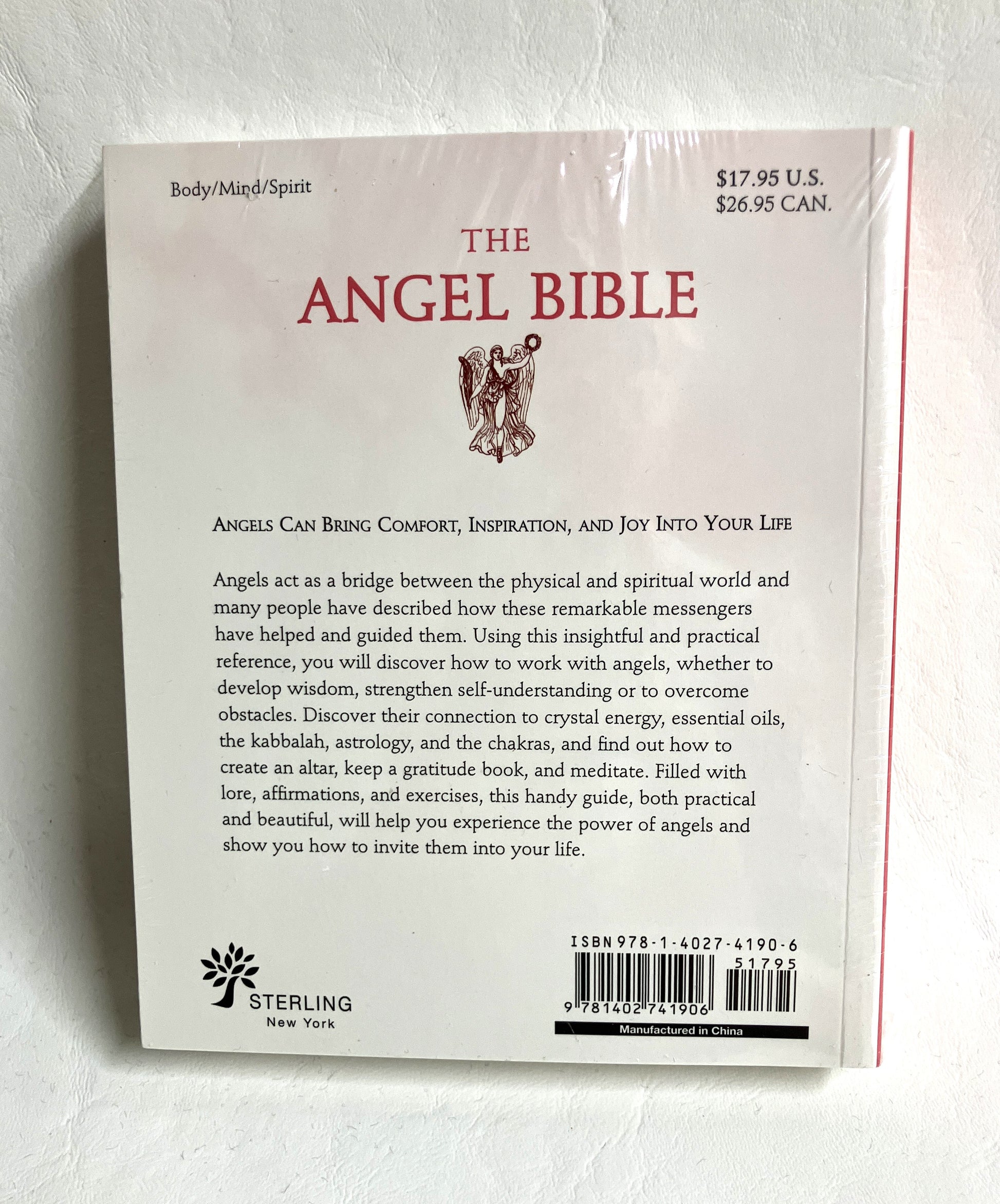 Back cover of 'The Angel Bible with informative text