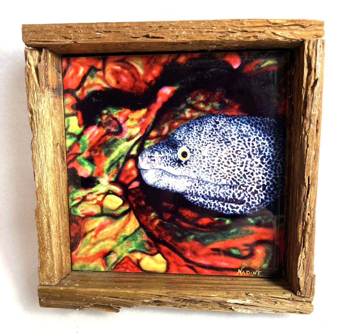 Framed artwork of a Morey Eel with a colorful abstract background