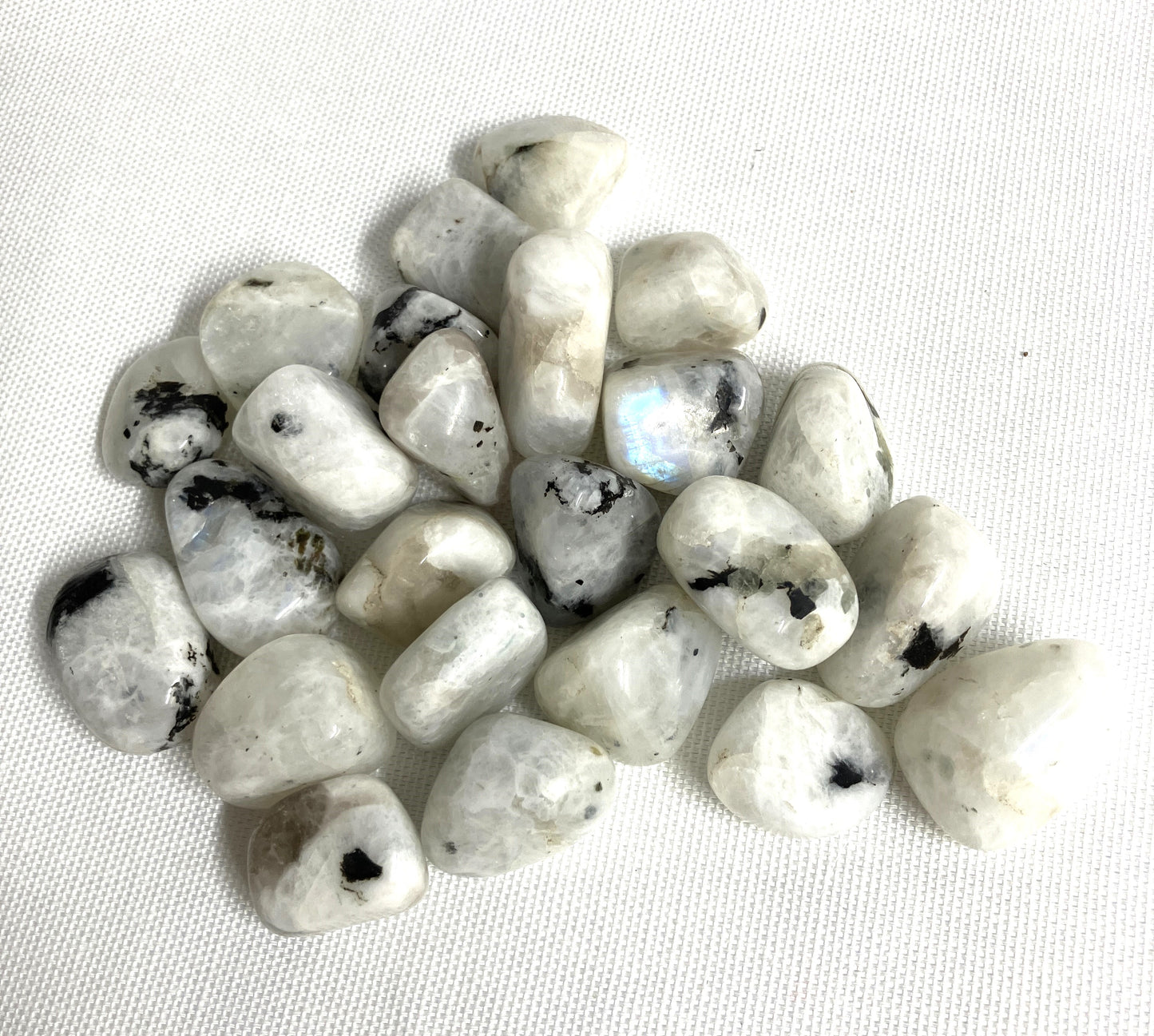 Group of Rainbow Moonstone Crystals showing variations of the pattern with black inclusions on a white background