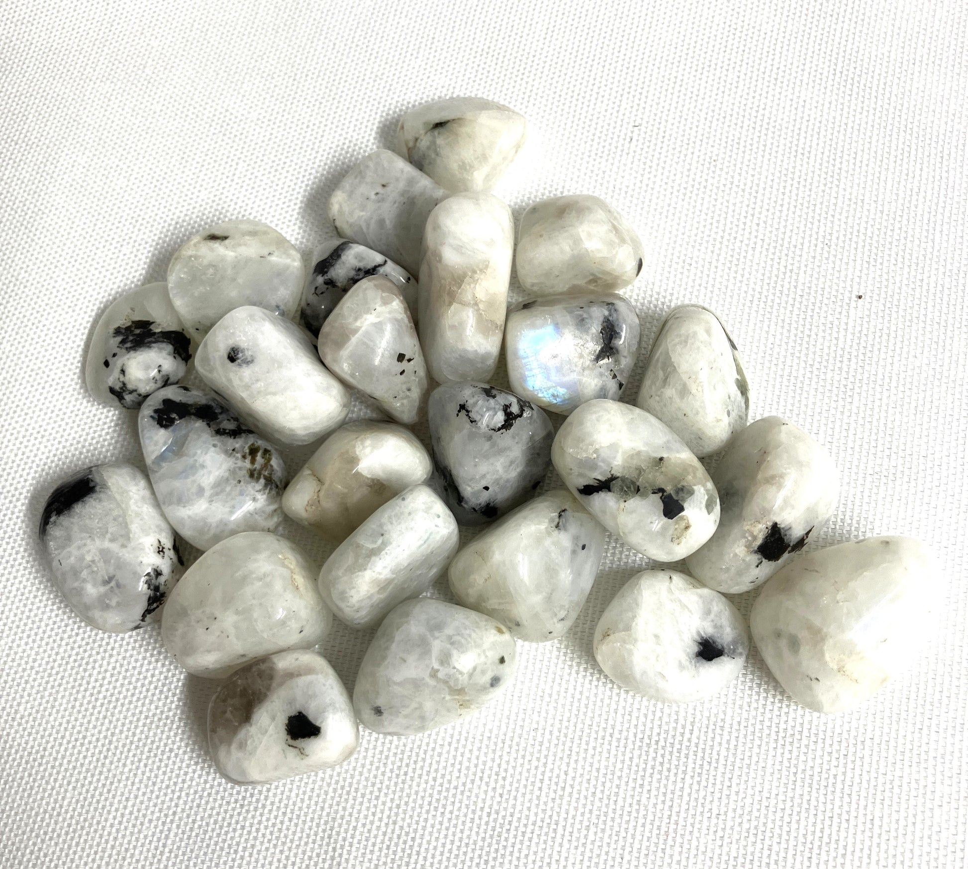 Group of Rainbow Moonstone Crystals showing variations of the pattern with black inclusions on a white background