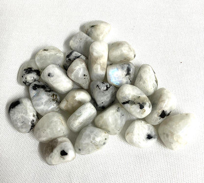 Group of Rainbow Moonstone Crystals showing variations of the pattern with black inclusions on a white background