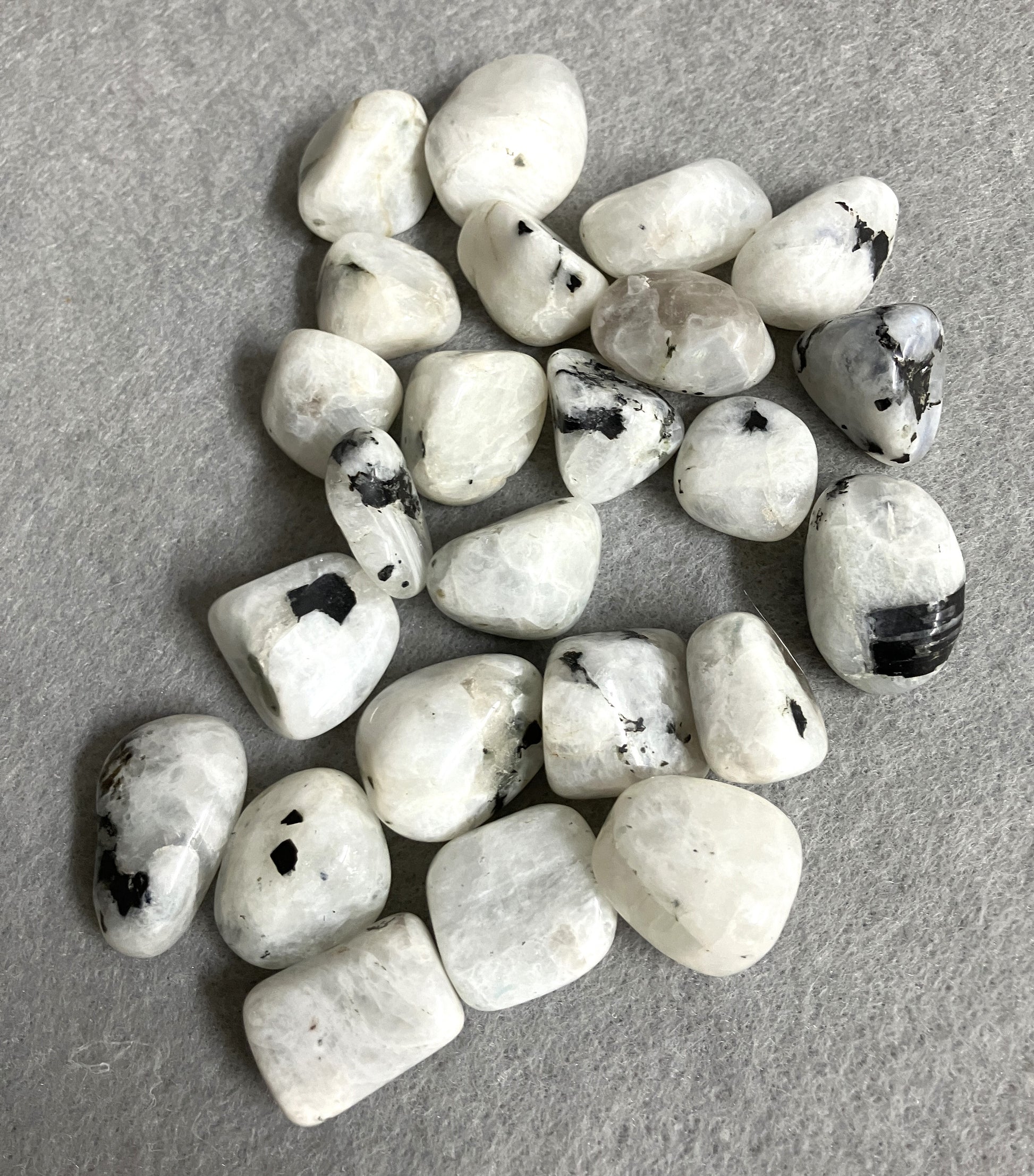 Front view of Rainbow Moonstone Crystals on a gray surface