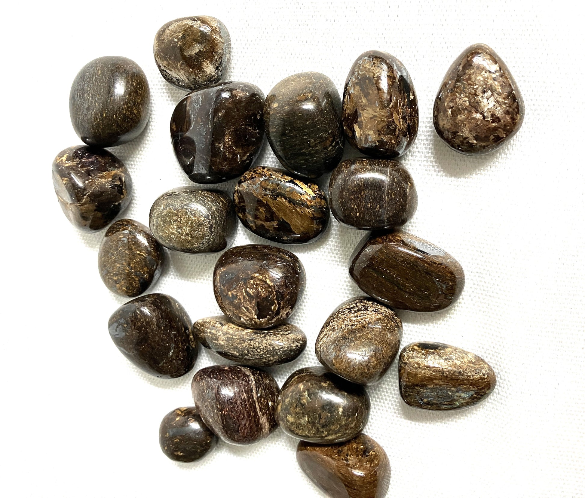 Closeup of Bronzite Crystals on a white background showing the unique patterns