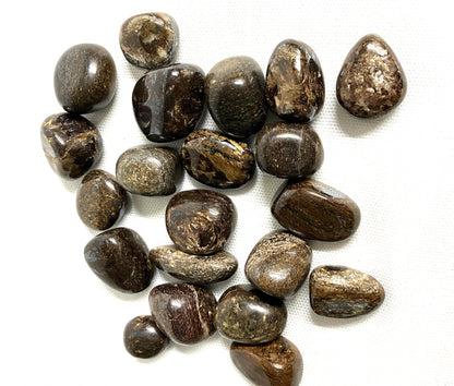 Closeup of Bronzite Crystals on a white background showing the unique patterns