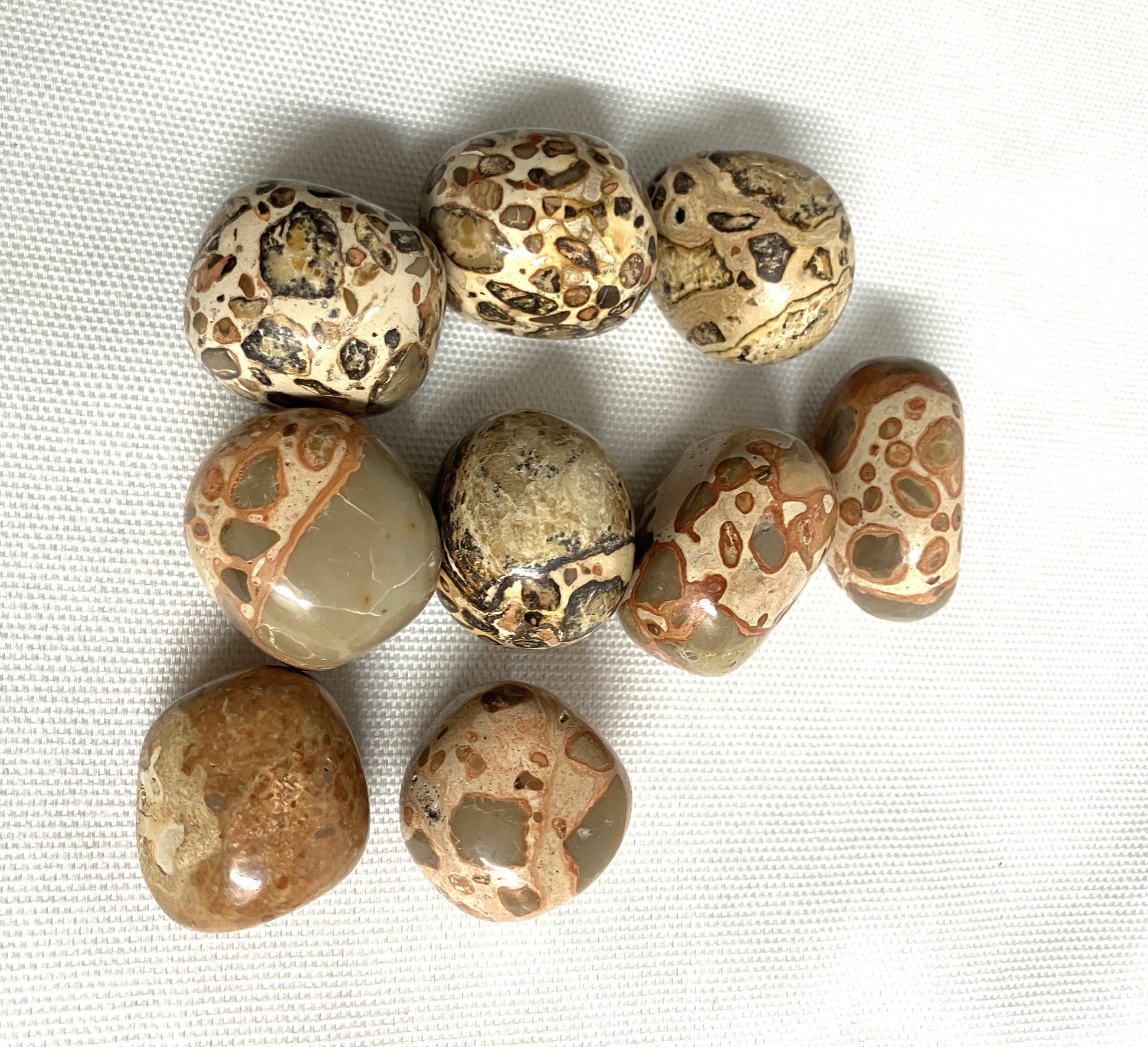 Front view of Leopardite Crystals on a white fabric background