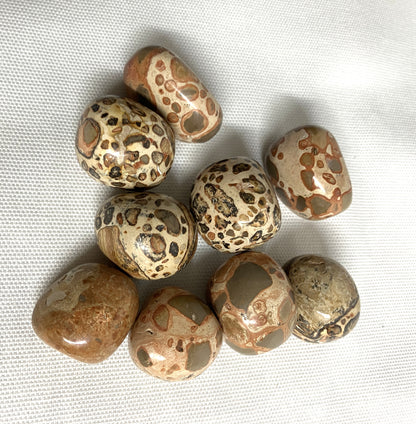 Closeup of Leopardite Crystals on a white fabric background