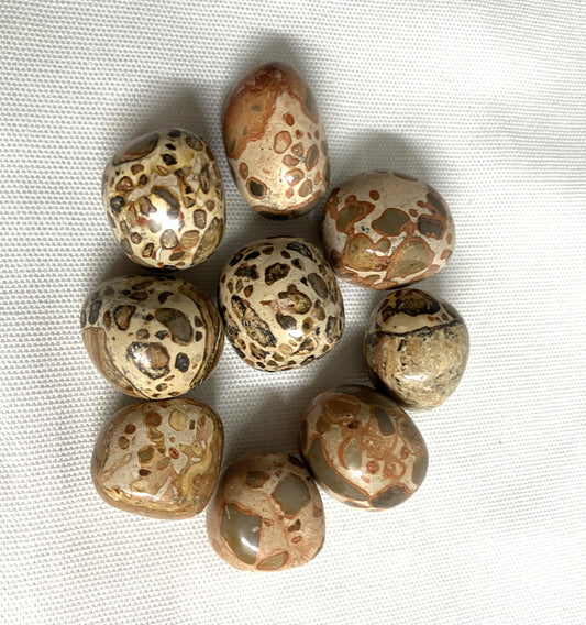 Leopardite Crystal on a white fabric background