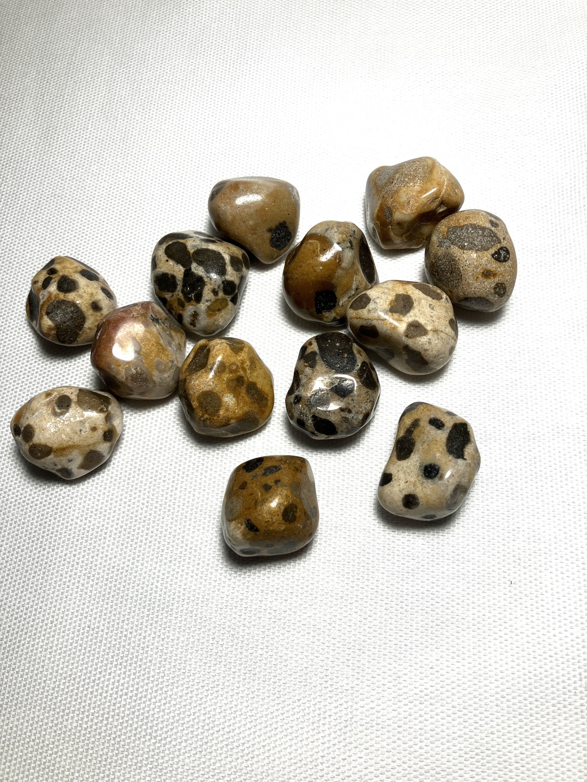 Leopard Skin Jasper Crystals AKA Jaguar Stones on a textured white surface
