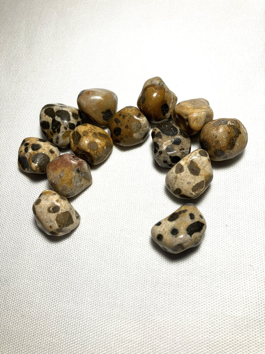 Group of Leopard Skin Jasper Crystals AKA Jaguar Stones on a white fabric background