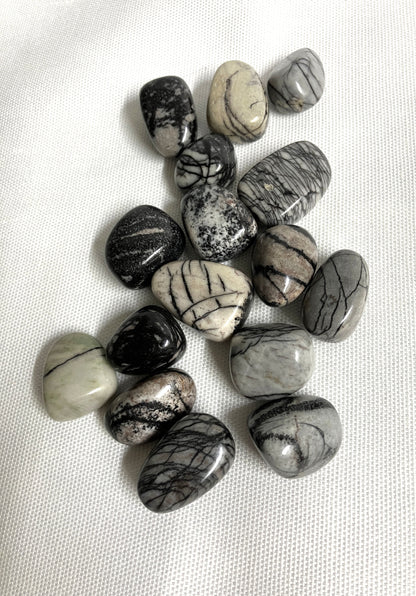 Back view of Spider Web Jasper Crystals on a white fabric background