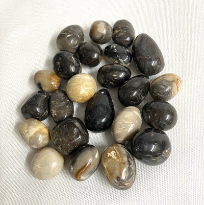 Collection of Feather Agate Tumbled Crystals on a white fabric background