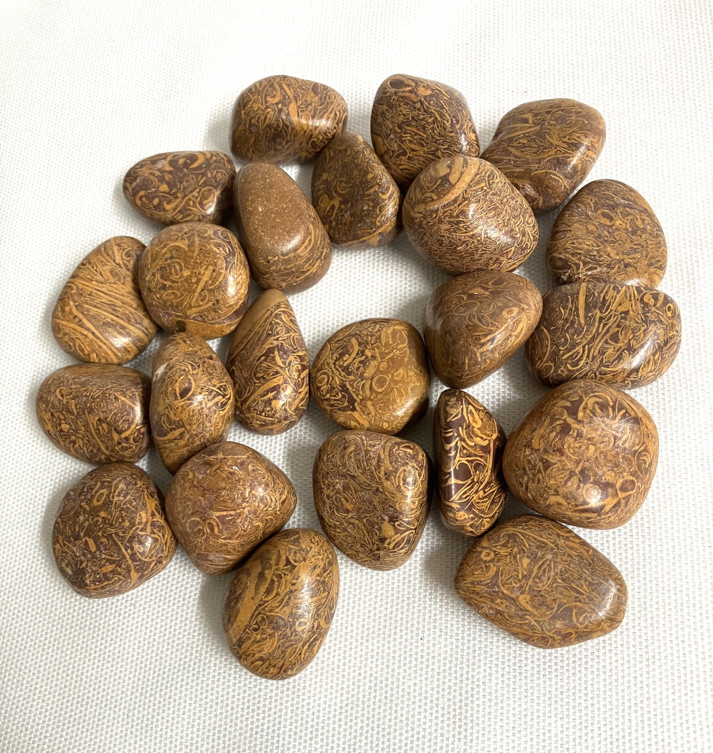 Back view of Calligraphy Crystals AKA Mariam Jasper on a white fabric background