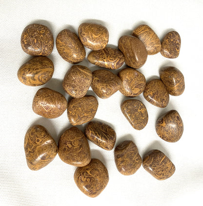 Front view of Calligraphy Crystals AKA Mariam Jasper on a white fabric background