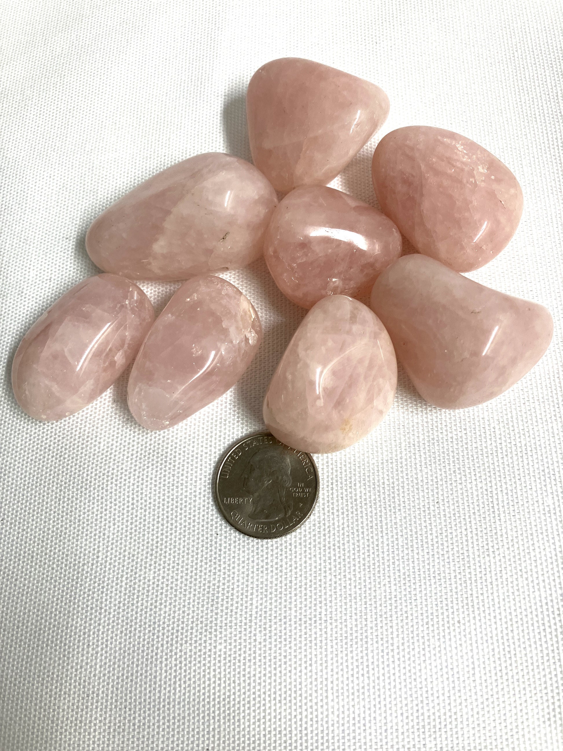 tumbled Rose Quartz Crystals on a white background with a quarter for scale