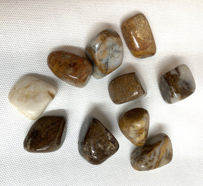 Back view of Pietersite Crystal AKA The Tempest Stone on a white fabric background