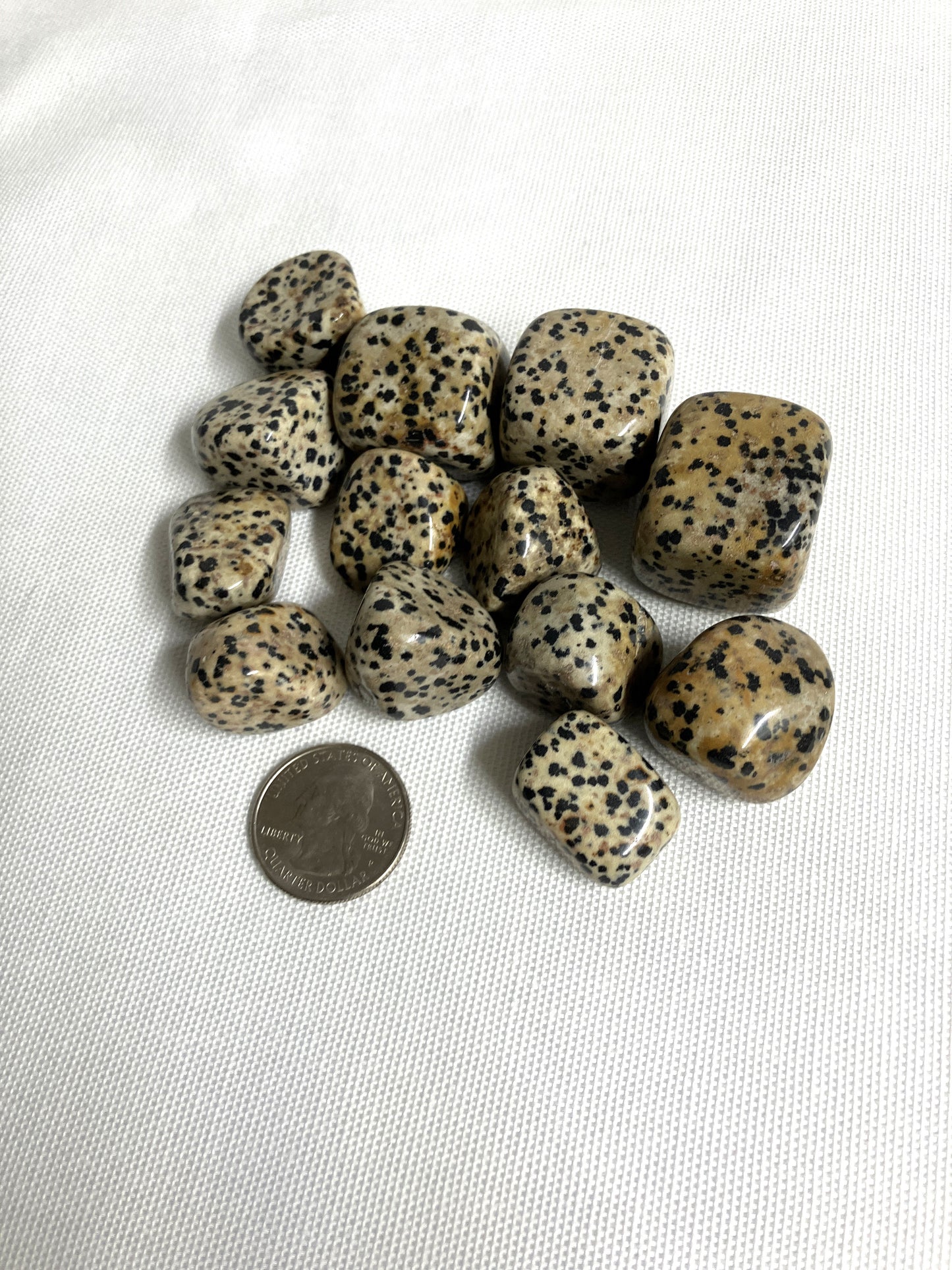 Tumbled Dalmatian Jasper Crystals on a white background with a coin for scale.