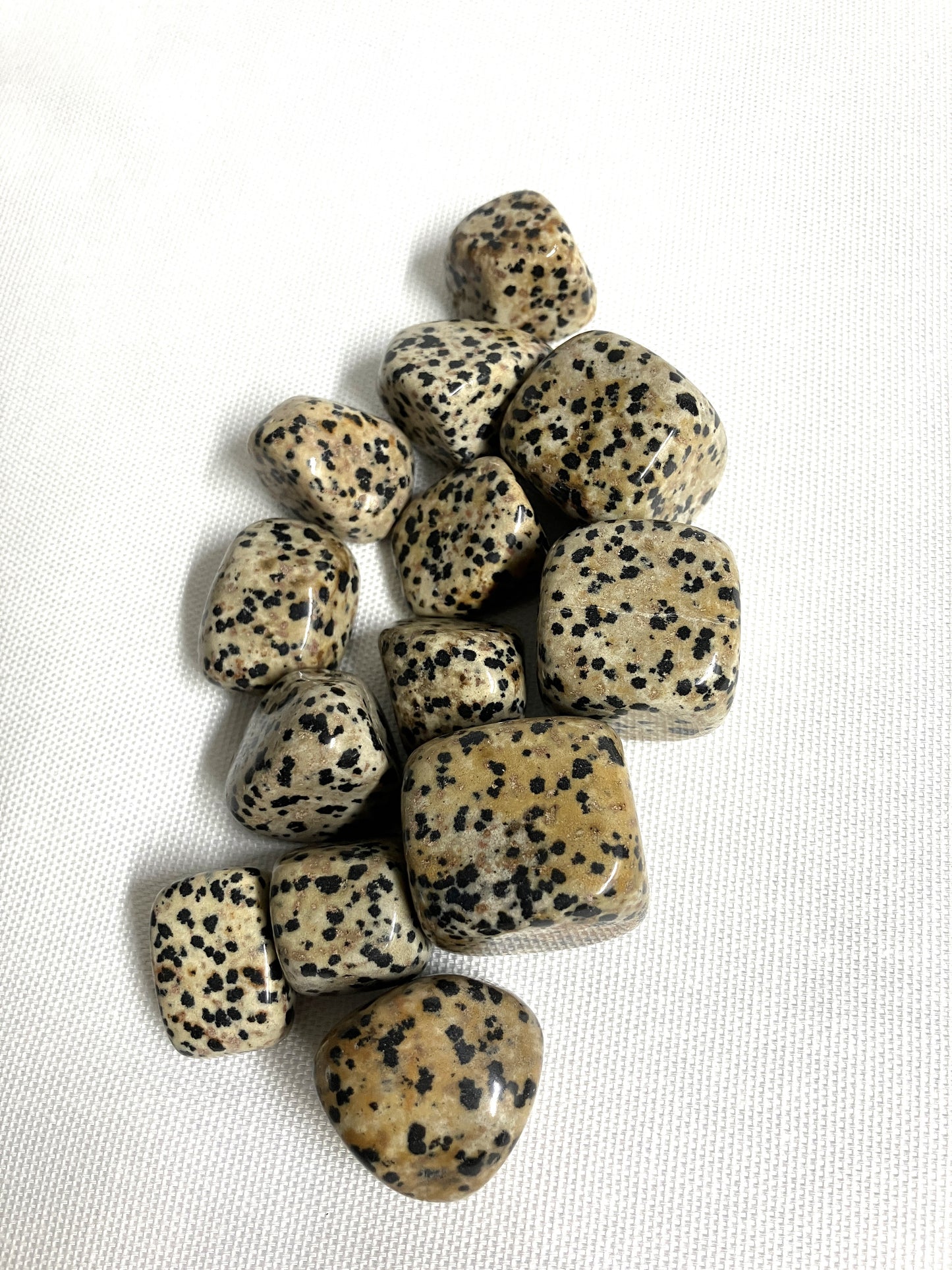 Tumbled Dalmatian Jasper Crystals on a white background