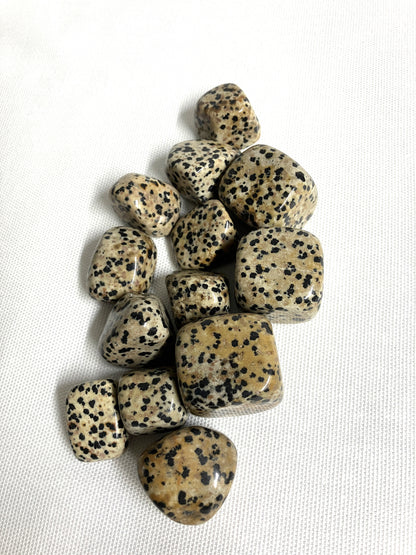 Tumbled Dalmatian Jasper Crystals on a white background