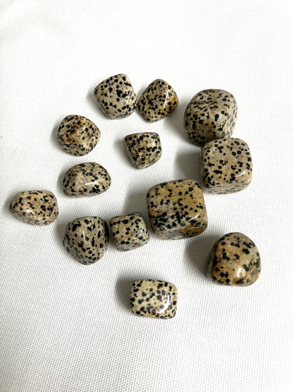 Tumbled Dalmatian Jasper Crystals on a white fabric background