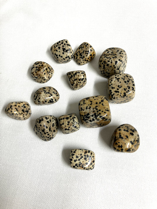 Tumbled Dalmatian Jasper Crystals on a white fabric background
