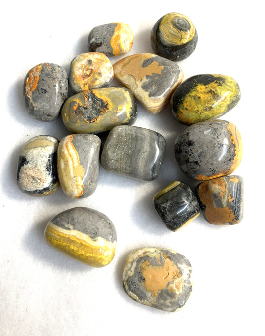 Collection of Bumblebee Jasper Crystals shown on a white background