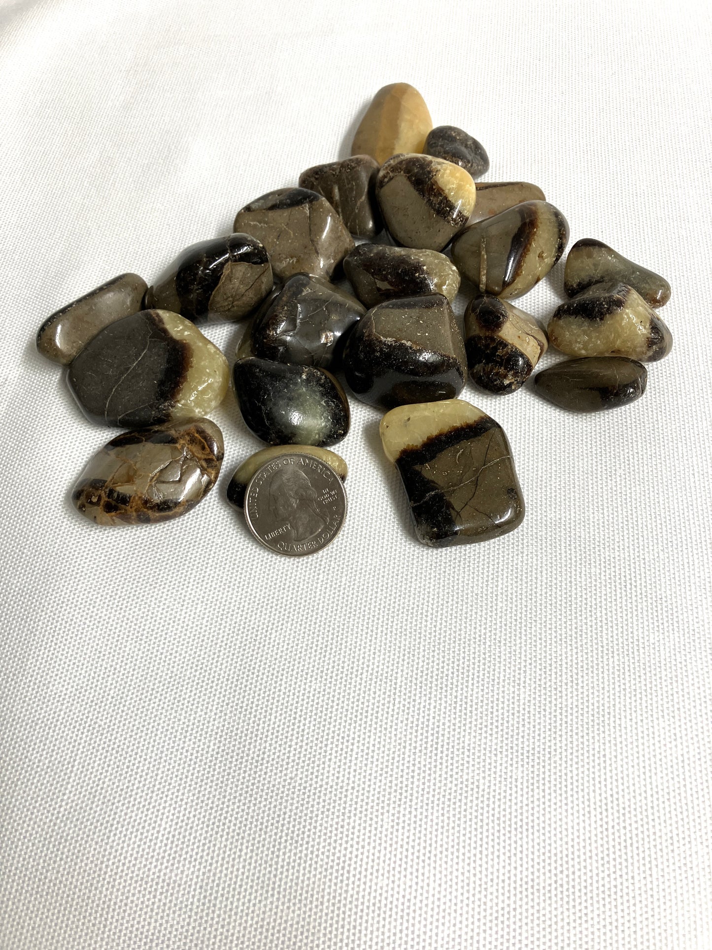 Septarian Crystals aka Dragon Stones on a white background with a quarter for scale.