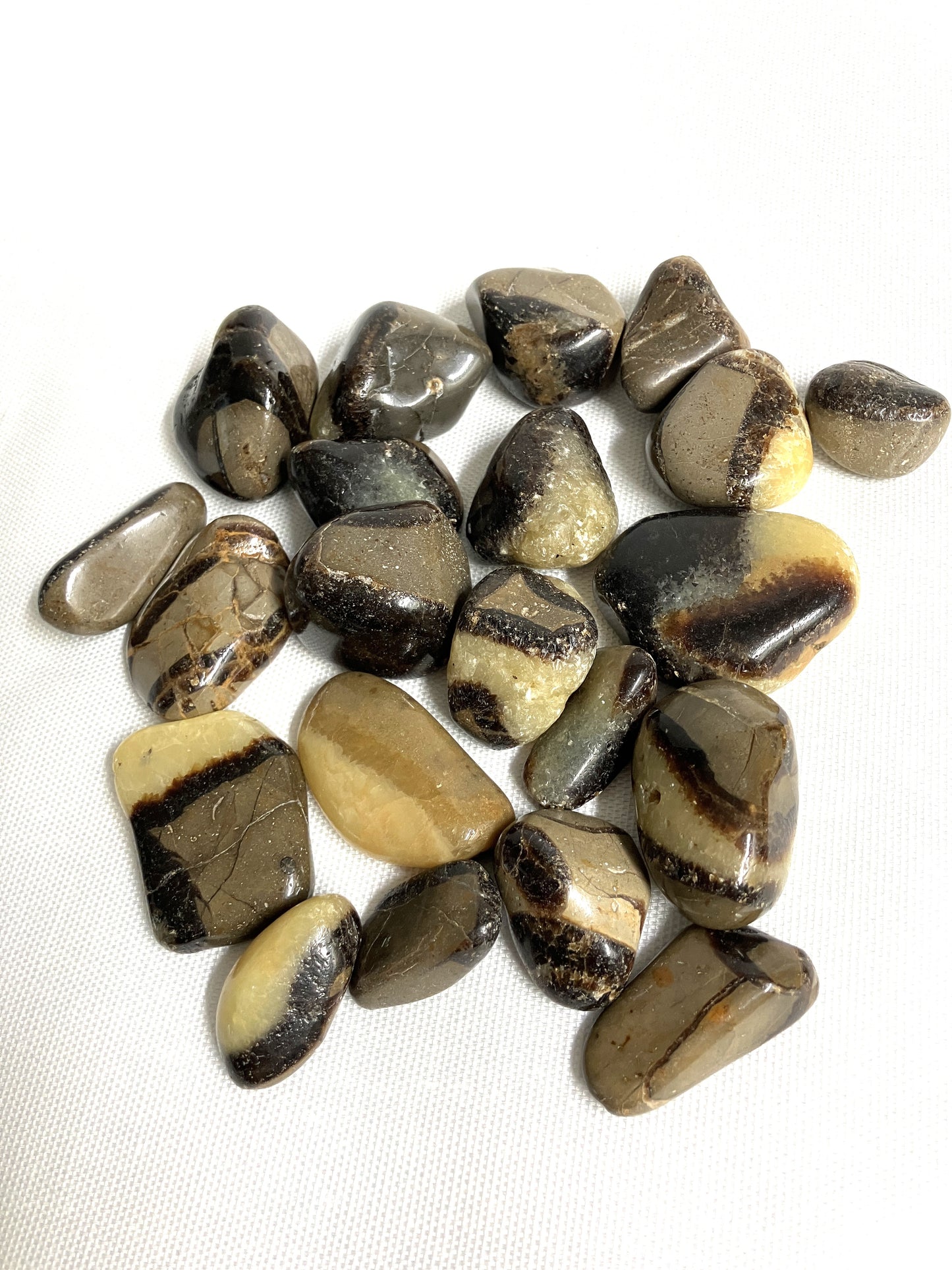 Septarian Crystals aka Dragon Stones showing different patterns  on a white background
