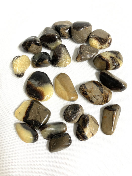 Group of Septarian Crystals aka Dragon Stones on a white background