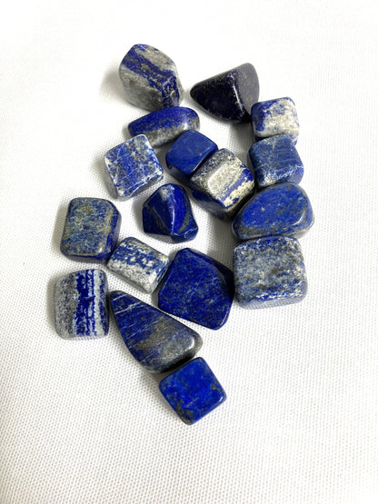 Collection of Lapis Lazuli Crystals on a white background
