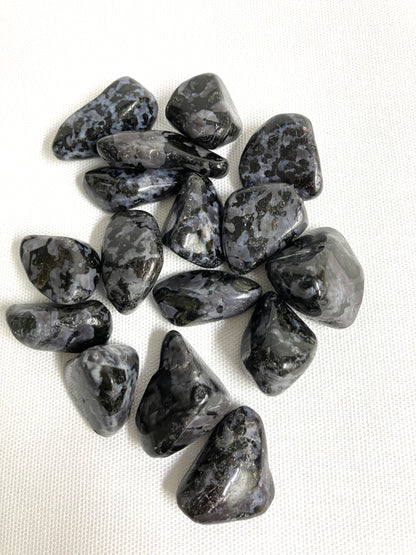 Top view of Indigo Gabbro Tumbled Crystals on a white background