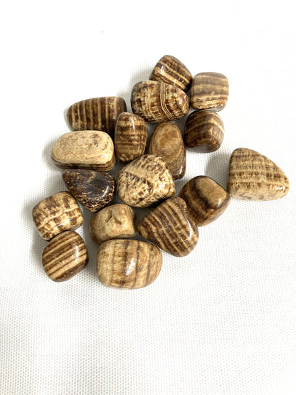 Back side view of Aragonite Crystals  on a white background