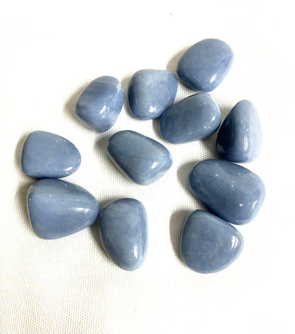 Angelite Crystals arranged in a scattered pattern on a white background