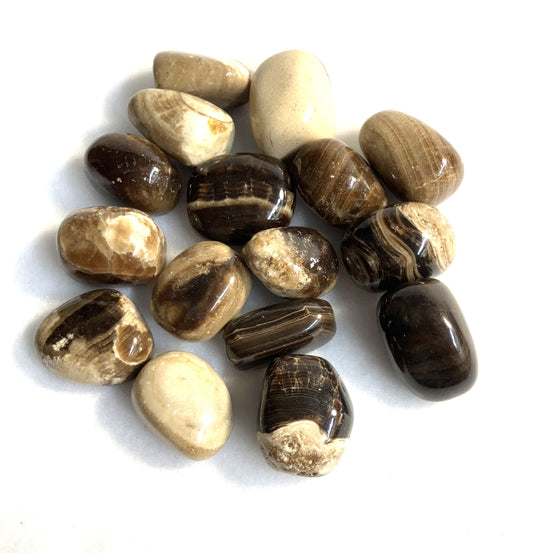 Grouping of Coffee Calcite Crystals shown on a white background