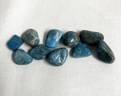Group of Blue Apatite Crystals on a textured white surface