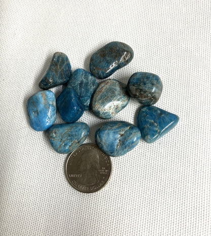 Blue Apatite Crystals on a white background with a coin for scale