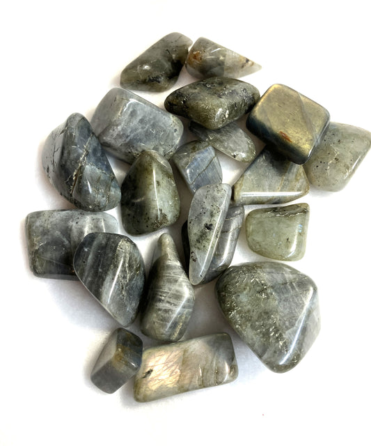 Collection of Tumbled Labradorite Crystals  shown on a white background