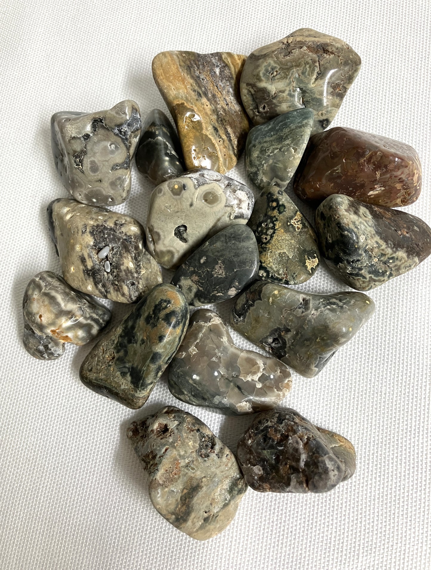 Collection of Ocean Jasper Crystals showing  variously patterns, shapes and sizes.  