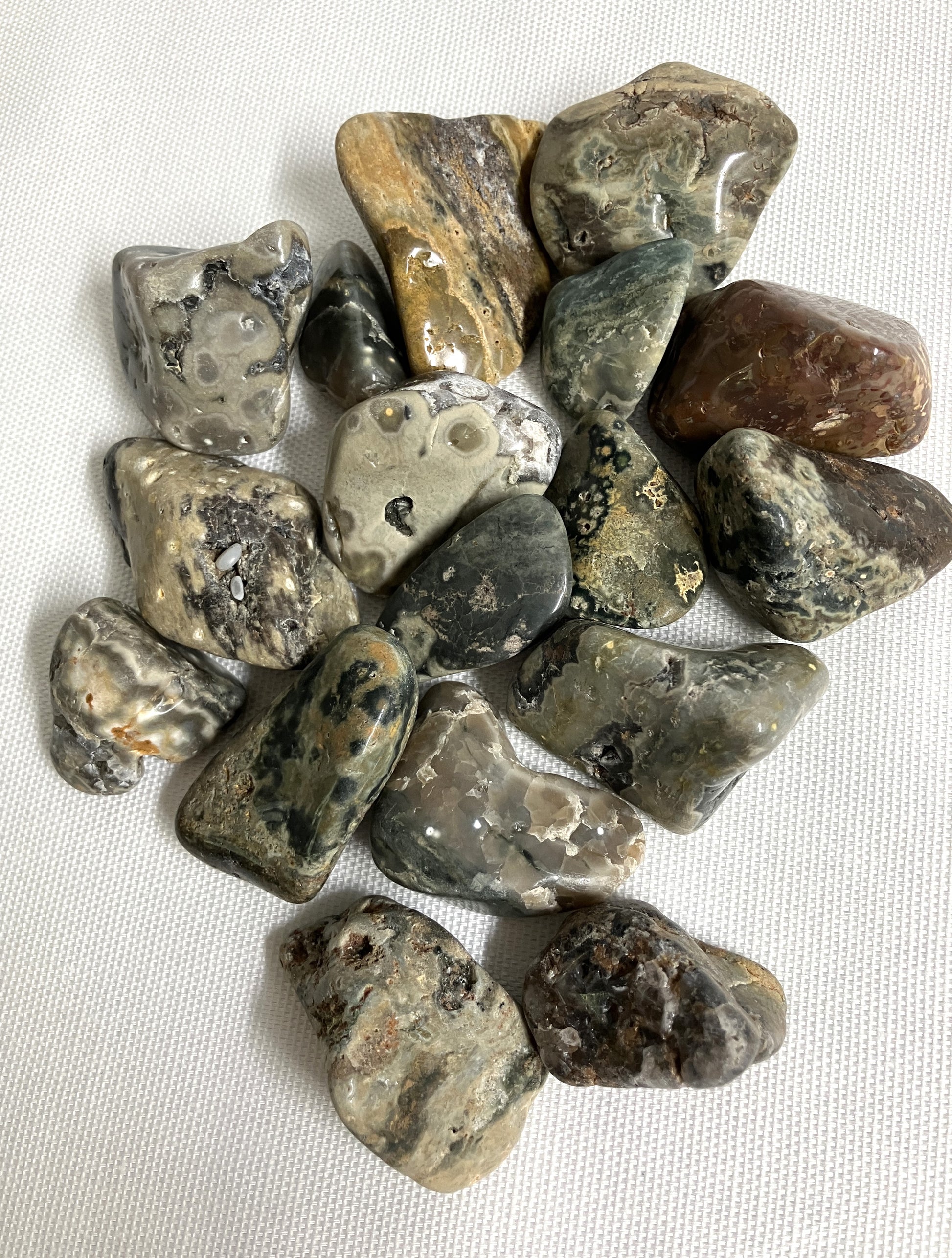 Collection of Ocean Jasper Crystals showing  variously patterns, shapes and sizes.  