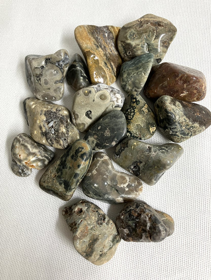 Collection of Ocean Jasper Crystals showing  variously patterns, shapes and sizes.  