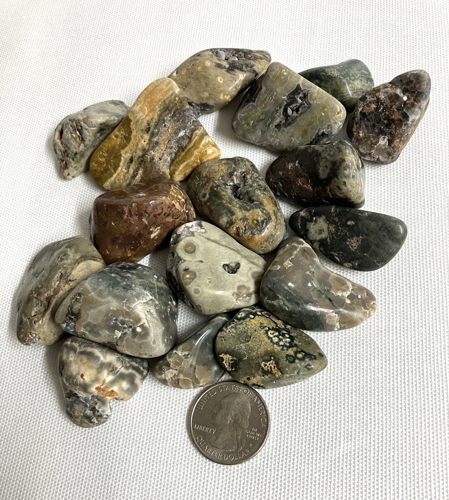 Assorted polished Ocean Jasper Crystals with a coin for scale