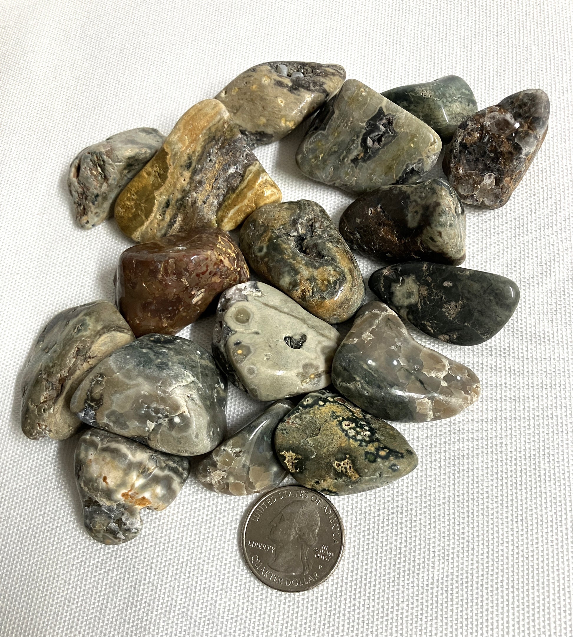 Assorted polished Ocean Jasper Crystals with a coin for scale