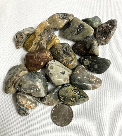 Assorted polished Ocean Jasper Crystals with a coin for scale
