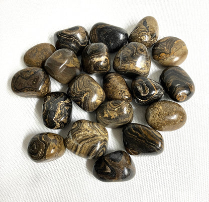 Back side of Stromatolite Crystal shown on a white background